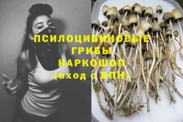 дурь Покачи