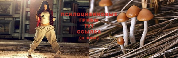 индика Пролетарск
